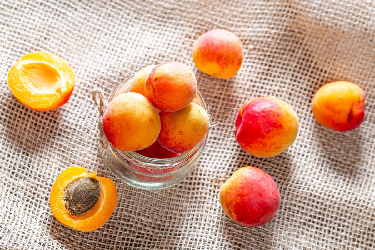 水果食物杏子