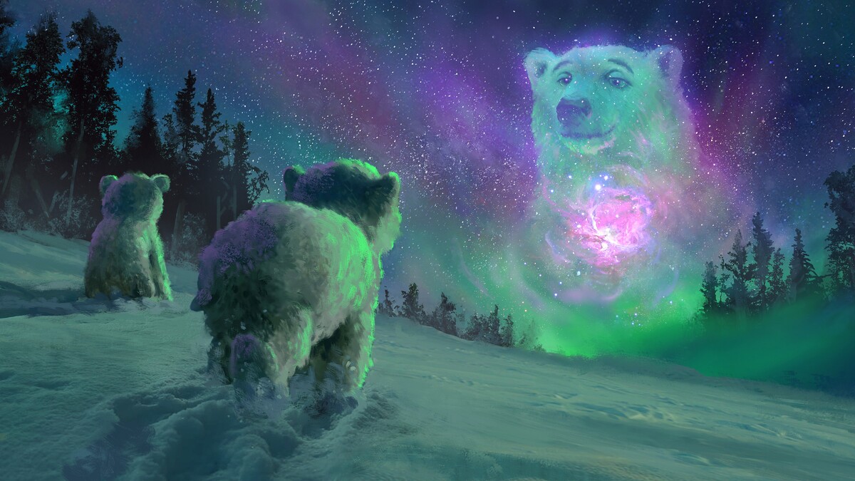北光动物北极熊