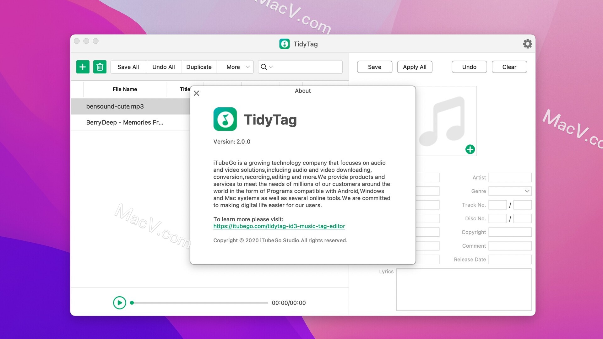 TidyTag Music Tag Editor最新版下载-TidyTag Music Tag Editor for Mac(音乐标签编辑器) 