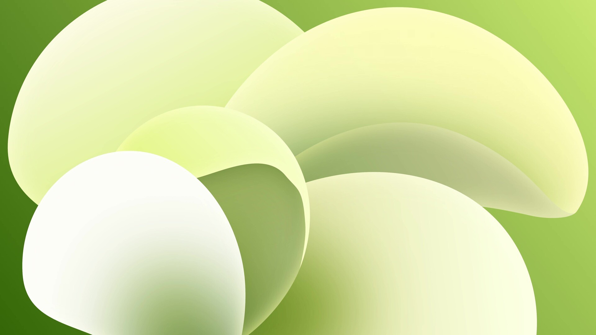 绿色气泡背景Mac动态壁纸