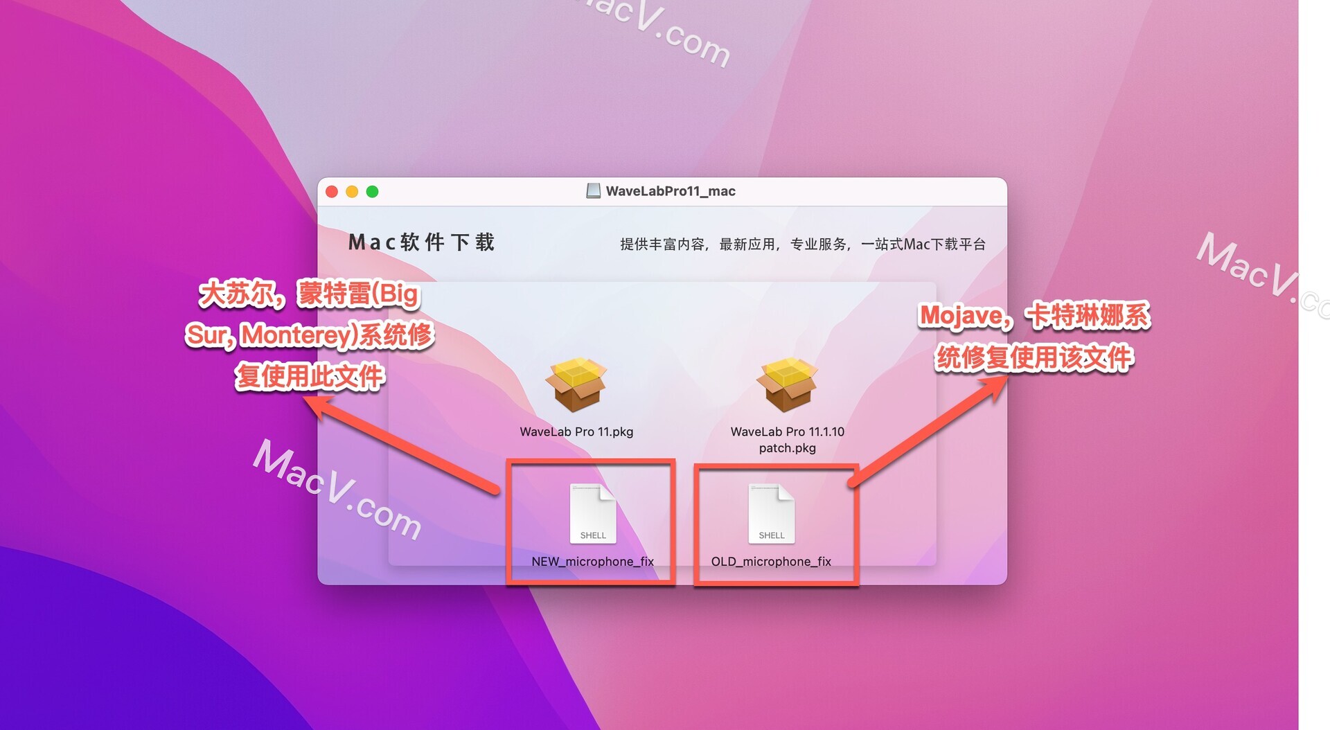 WaveLab 11 Pro Mac破解版下载-Steinberg WaveLab 11 Pro for Mac(母带制作工具)