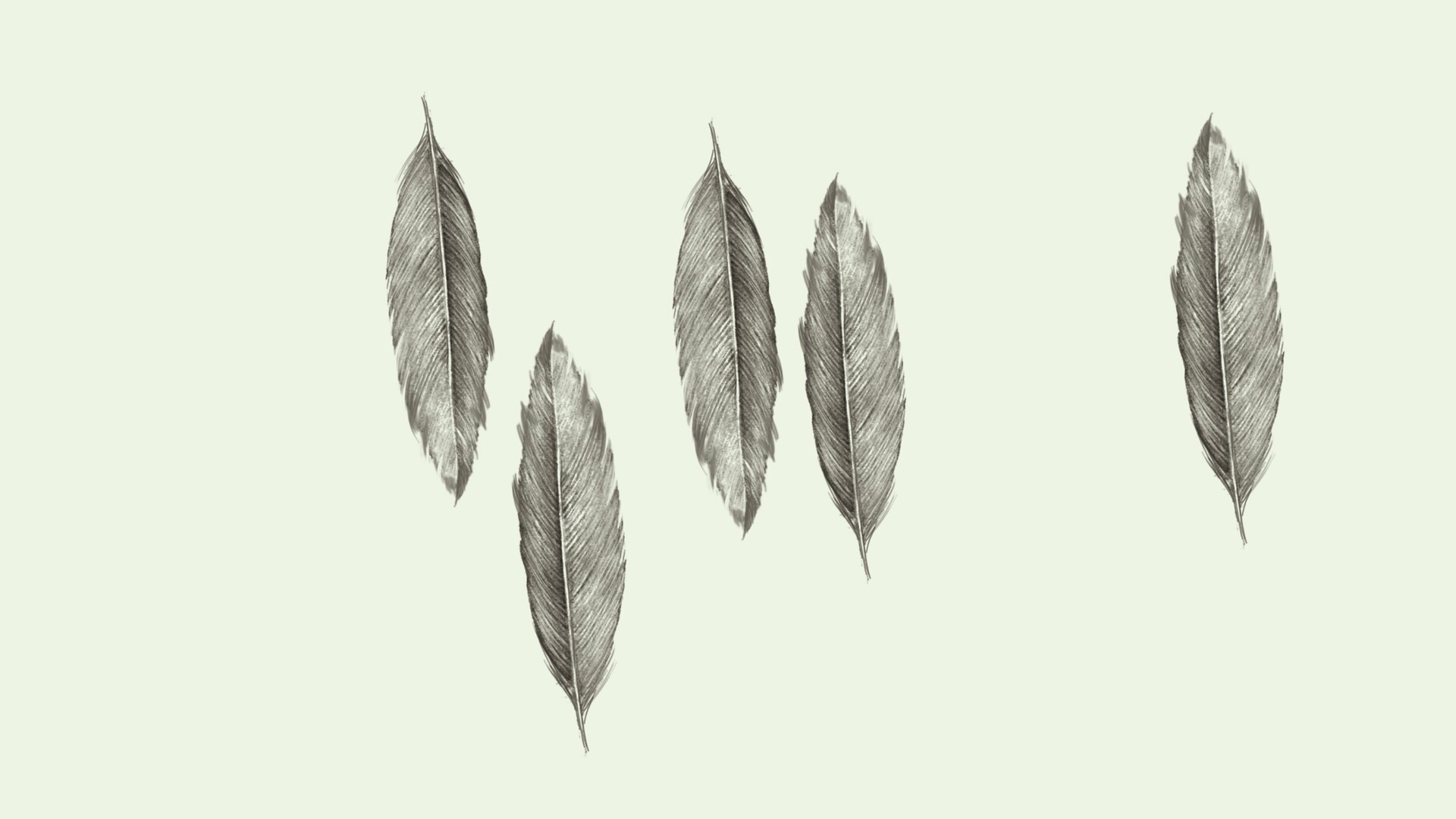 3种手绘模拟羽毛图形PS笔刷
