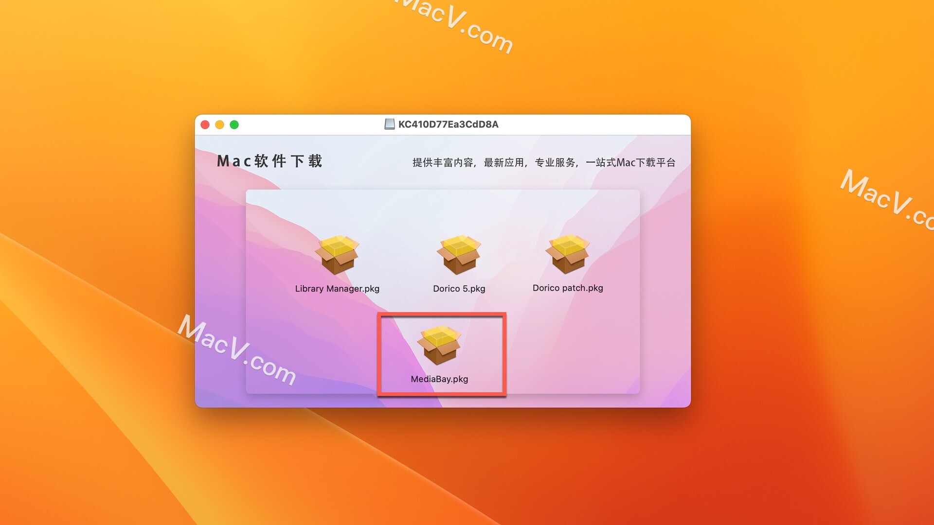 Steinberg Dorico Pro破解下载-Steinberg Dorico Pro for mac(乐谱编写软件)