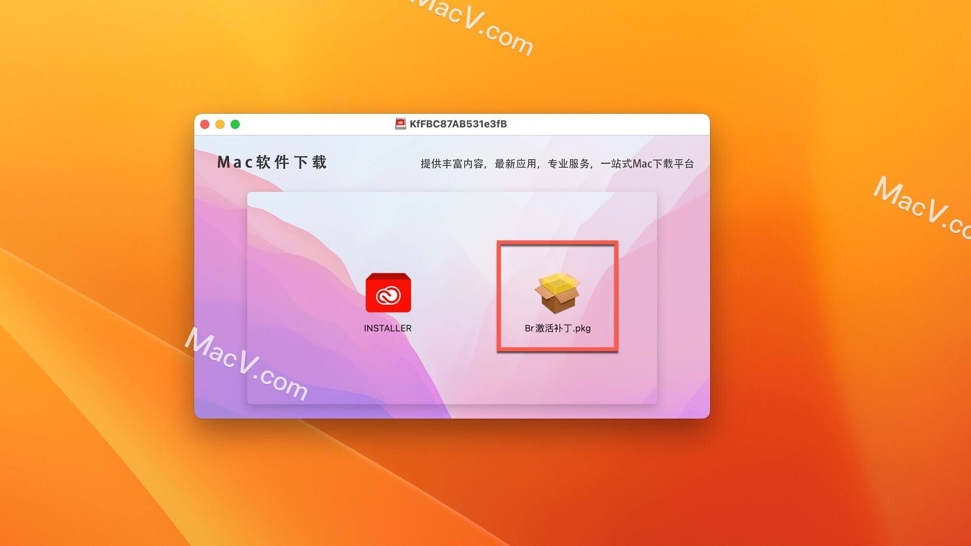 Bridge 下载-Bridge 2024 for Mac(BR)