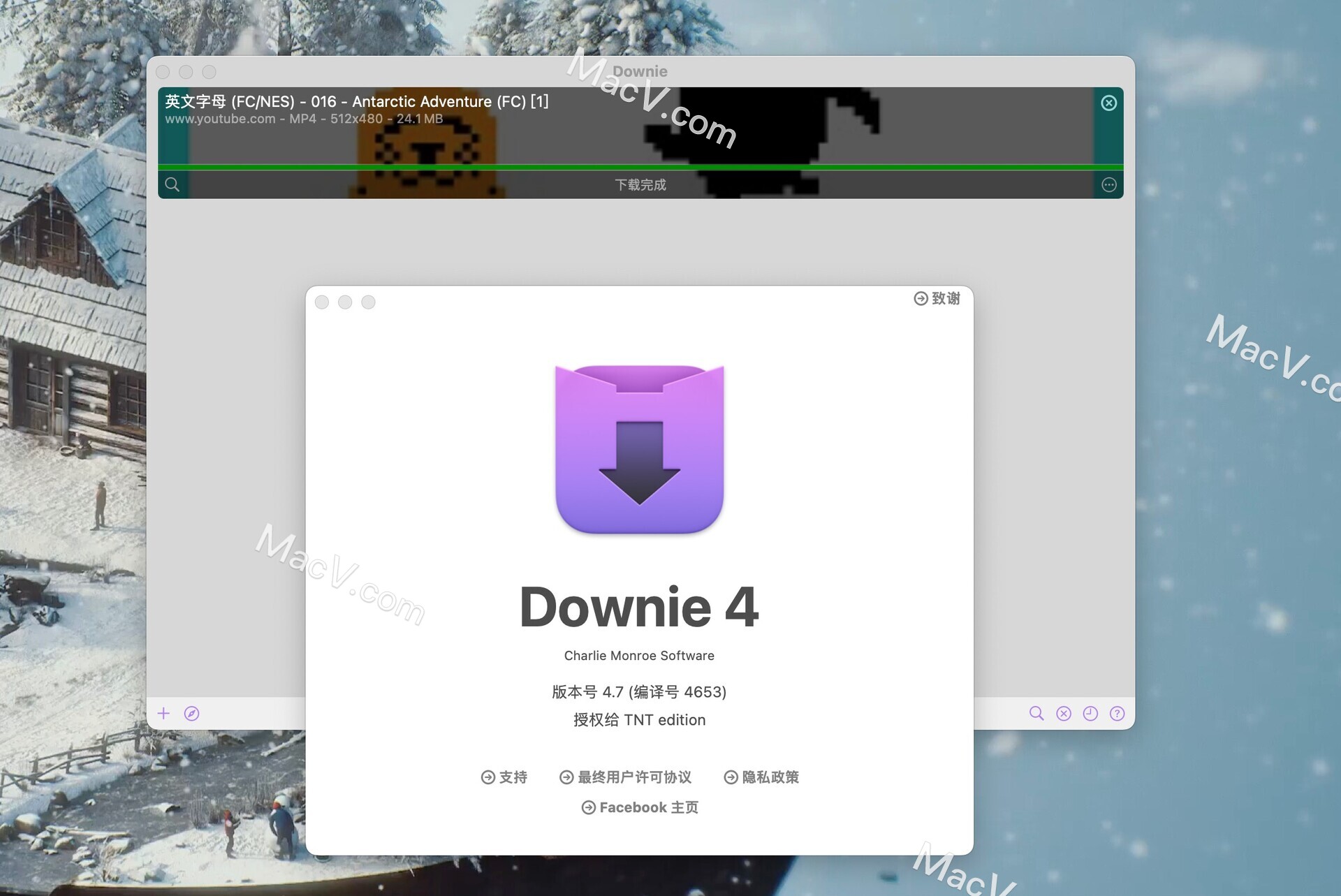 Downie 4破解版下载-Downie 4 for Mac(视频下载工具)兼容14系统