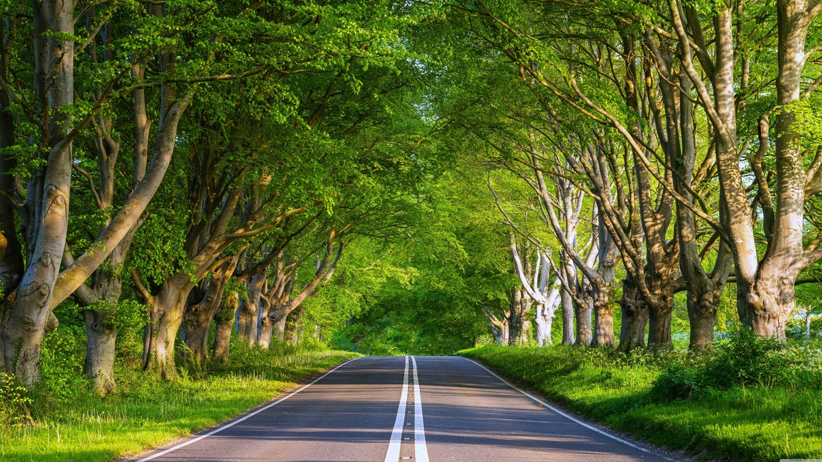 夏天，旅行，道路，綠樹，冒險(xiǎn)